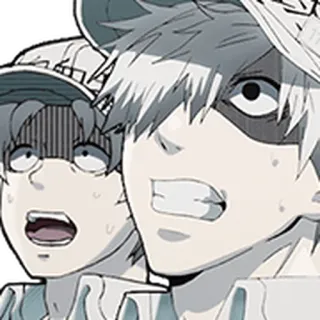 🩸 86b50c62 Cells at Work! Anime, Tế Bào Làm Việc!, Bạch cầu, Biểu cảm, Nhân vật telegram sticker