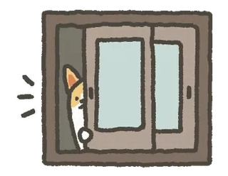 😨 67457d48 mèo, cửa sổ, dễ thương, thú cưng, động vật, trong nhà telegram sticker