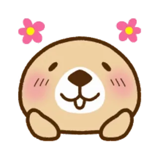 🐧 6c472a3e carino, kawaii, animale, orso, fiore, adesivo, cartone animato telegram sticker