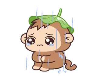 🌵 7b5da506 원숭이, 귀여운, 슬픈, 비, 울음 telegram sticker
