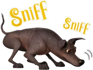 🔍 b0d6ba46 Sniff Sniff cão, cheirar, animal, fofo telegram sticker