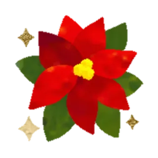 🎄 e05c996c stella di Natale, fiore, rosso, giallo, verde, pianta, floreale, vacanza, natale whatsapp sticker