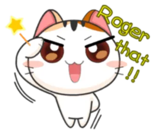 😬 af06eb3a Roger that !! 고양이, 알겠습니다, 만화, 스티커 telegram sticker