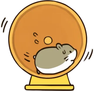 🏃‍♂️ 376eb3c6 ハムスター, 回し車, 動物, ペット, 走る whatsapp sticker
