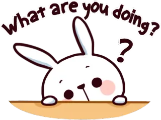 👀 6f261acd What are you doing? lapin, mignon, question, curieux, animal whatsapp sticker