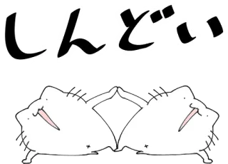 🕺 808b34d8 しんぞい 고양이, 고양이, 밈, 웃긴, 귀여운 telegram sticker