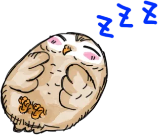 💤 09a6d0ed ZZZ burung hantu, tidur, burung, lucu, kartun whatsapp sticker