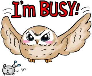 😠 56b36a5c I'm BUSY! burung hantu, sibuk, marah, kartun, hewan, burung, stres whatsapp sticker