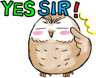 👌 7c454147 YES SIR! burung hantu, siap pak, afirmatif, kartun, imut, binatang, setuju whatsapp sticker