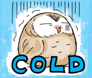 ☃ 8193fd50 COLD burung hantu, dingin, musim dingin, kartun, lucu, cuaca, binatang whatsapp sticker