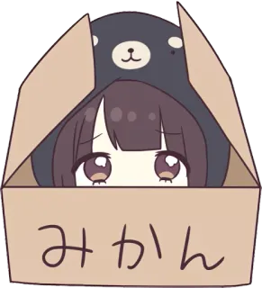 👀 e91d9d09 みかん อนิเมะ, ผู้หญิง, ส้ม, กล่อง, หมี whatsapp sticker