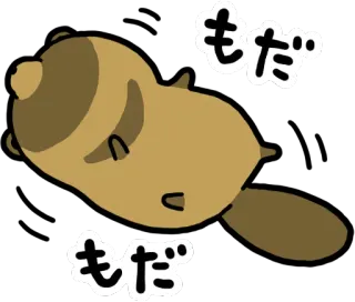 😫 c59f32a8 もだ 海狸, 狸猫, 动物, 可爱, 卡哇伊, 卡通 telegram sticker