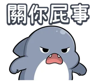 🤪 cab63e39 關你屁事 en colère, requin, dessin animé, offensant, texte, animé telegram sticker