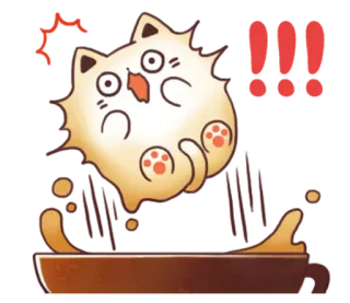 ☕ 6d6ac629 LOL 고양이, 웃긴, 귀여운, ㅋㅋ, 이모티콘 whatsapp sticker