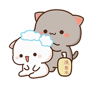 ⭐️ 8c8bfaf2 洗发水 кот, шампунь, милый, пузырь, купание whatsapp sticker