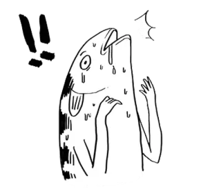 🐈 4f11e9ab fisch, geschockt, anime, manga, schwitzend whatsapp sticker