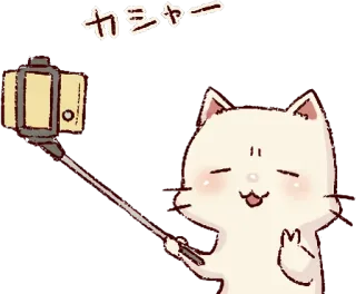 🤳 434f7593 カシャ〜 kat, selfie, kawaii, schattig, cartoon, dier, vredesteken telegram sticker