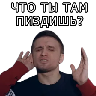 🙉 04c6414f ЧТО ТЫ ТАМ ПИЗДИШЬ? 욕설, 불쾌한, 러시아어, 화난, 질문, 표현 telegram sticker