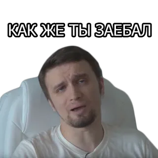 🤬 0729bdc7 КАК ЖЕ ТЫ ЗАЕБАЛ 밈, 러시아어, 짜증, 욕설 telegram sticker