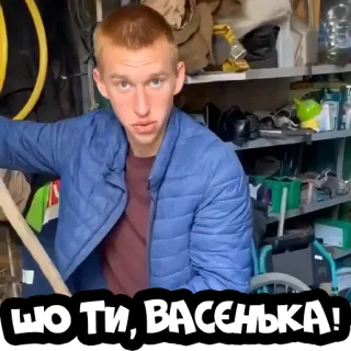😡 2fbcd36f ШО ТИ, ВАСЕНЬКА! whatsapp sticker