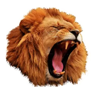 🦁 4df4877a singa, binatang, geraman, surai, satwa liar whatsapp sticker