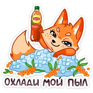 😏 71763d6a Охлади мой пыл fuchs, getränk, lipton, sanddorn, eis whatsapp sticker