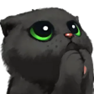 🙏 10fdabe0 고양이, 귀여운, 애원하는, 동물, 새끼 고양이, 검은 고양이 telegram sticker