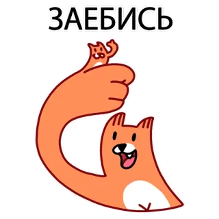 👍 9c8e2d05 ЗАЕБИСЬ 고양이, 만화, 러시아어, 불쾌한, 텍스트, 스티커 telegram sticker
