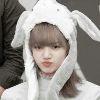 🌥 7ba5b9cd woman, rabbit, bunny, hat, person, cute, portrait whatsapp sticker