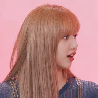 😦 395c8705 Lisa K-pop, Penyanyi, Idola, Wanita, Potret, Orang, Perempuan telegram sticker