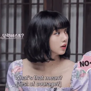 Lisa ♡ @BlackpinkStickers telegram stickers