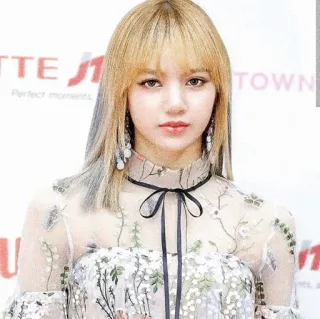 🤨 f61490e6 Lisa 리사, K팝, 가수, 연예인, 패션, 여자 telegram sticker