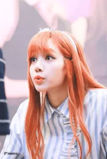🥕 399bd14d Lisa リサ, K-POP, 歌手, BLACKPINK telegram sticker