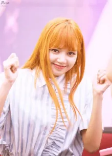 🥕 53925532 Lisa K-POP, アイドル, 歌手, ダンサー, リサ, BLACKPINK telegram sticker