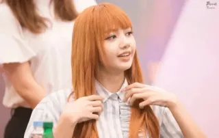 ••lalisa 🦊 [ @blackpinkmood ] telegram stickers