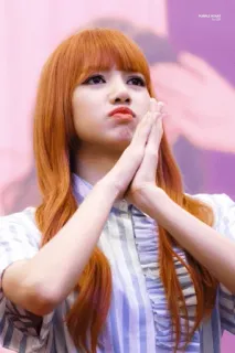 🥕 d78228d9 telegram sticker