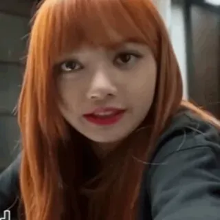 🥂 13afdb5e Lisa женщина, портрет, рыжая, человек, знаменитость telegram sticker