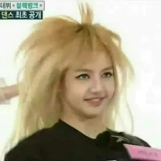 🥂 865b785e Lisa 데뷔 · 블랙핑크
댄스최초공개 Лиса, Blackpink, K-pop, Айдол, Развлечения, Певица, Блондинка, Женщина telegram sticker