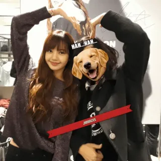 🌱 50c08255 HAH...HAH... mujer, perro, sonrisa, diversión, alegría, amistad telegram sticker