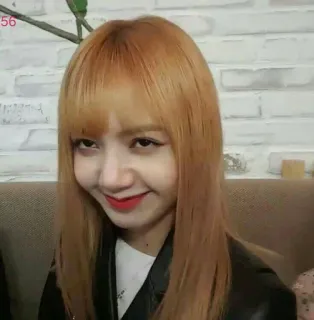 🐊 3a3aa3e7 Lisa lisa, blackpink, kpop, chanteuse, idole whatsapp sticker