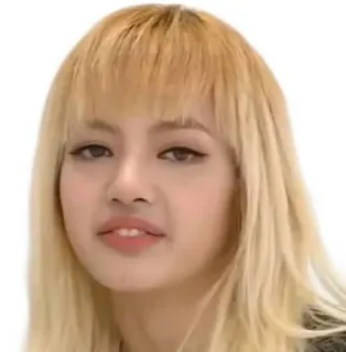 🐊 cfa7ba7b Lisa personne, femme, célébrité, kpop, chanteuse, lisa whatsapp sticker