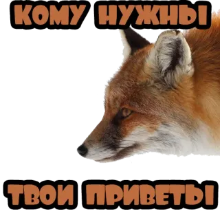 🤚 32bdd56d КОМУ НУЖНЫ ТВОИ ПРИВЕТЫ 狐狸, 动物, 俄语, 文本, 贴纸 whatsapp sticker