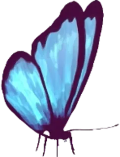 🐛 91abc1cb 나비, 파란색, 곤충, 자연, 날개, 스티커 telegram sticker