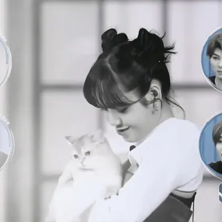 🥯 b620a503 猫, 女人, 宠物, 名人, 黑白, 肖像 whatsapp sticker