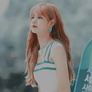 🌼 bbc237c9 Lisa 서울 사랑 kpop, chanteuse, femme, beauté, mode, personne, lisa, blackpink telegram sticker
