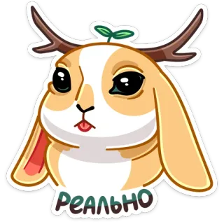 😝 a9eadefd Реально ウサギ, 角, かわいい, 動物, ステッカー telegram sticker