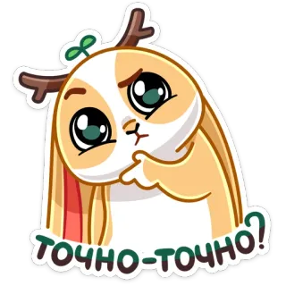 🤔 d93c6df4 ТОЧНО-ТОЧНО? ウサギ, 可愛い, 動物, ステッカー, 質問, 漫画 telegram sticker