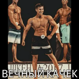 💪 440f306f ВЕЧНЫЙ КАЧЕК Bodybuilding, Muskeln, Fitness, Männer, Wettkampf telegram sticker