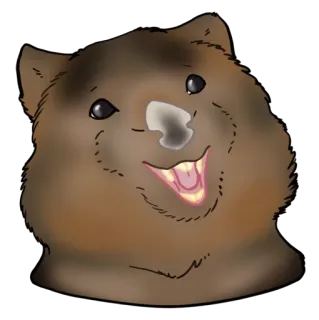 😃 a92b37de Quokka, animale, sorriso, carino, marsupiale, fauna australiana telegram sticker