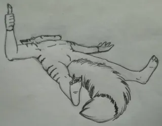 👍 b0947890 Furry, Disegno, Schizzo, Animale, Antropomorfo, Gesto telegram sticker